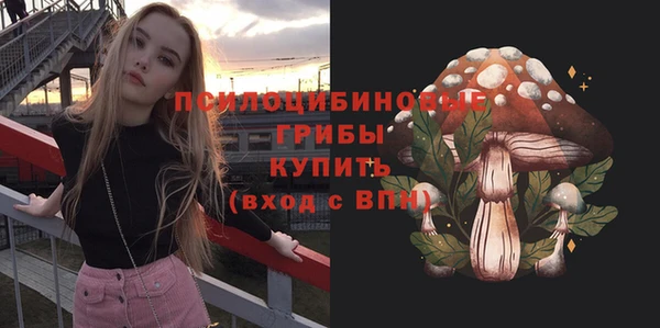 MDMA Медногорск