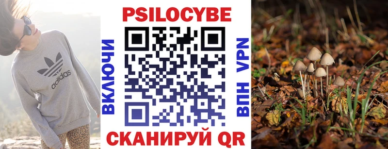 Псилоцибиновые грибы MAGIC MUSHROOMS Купить где Пустошка